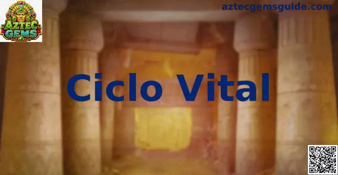 Representación visual del Ciclo Vital aplicado a Aztec Gems